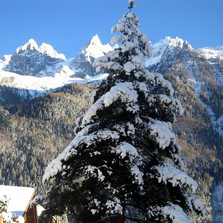 Grandmontetsa Apartment Chamonix